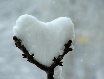 снежное сердце
