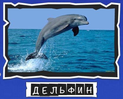 игра:слова от Mr.Pin вспомниЛось морские обитатели на фото дельфин
