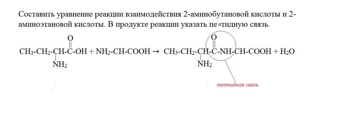 Составить реакции взаимодействия. 2-Аминобутадиновой кислоты. Аминоэтановой кислоты. Реакции 2 аминобутановой кислоты. Аминоетанова кислота реакция.