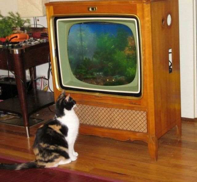Как сделать аквариум в старом телевизоре своими руками