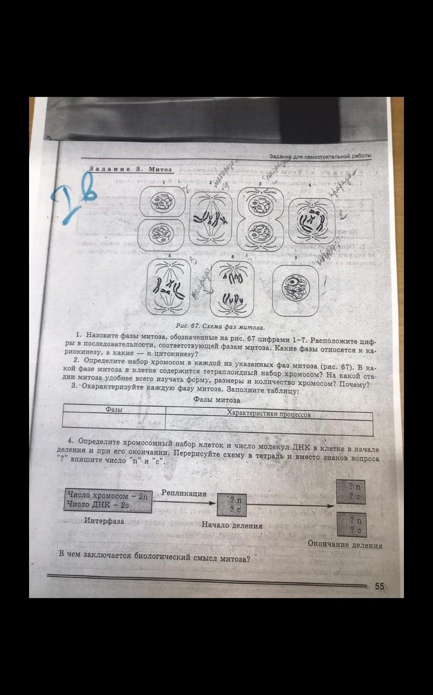 Назовите государства обозначенные цифрами на рисунке