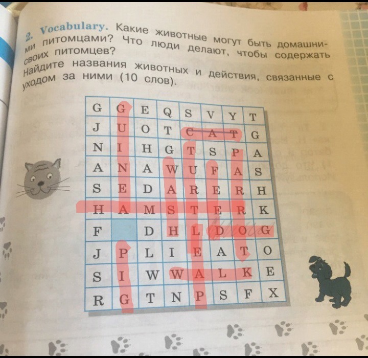 Найти содержать. Какие животные могут быть домашними питомцами что люди делают чтобы. Найдите названия животных и действия. Vocabulary какие животные могут быть домашними питомцами. Найти названия 13 животных.