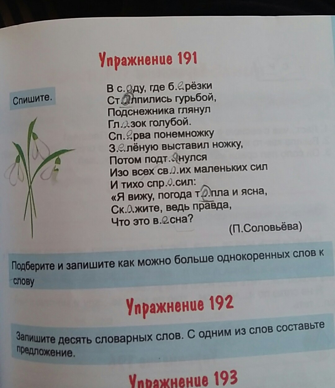 Родственные слова к слову пироги