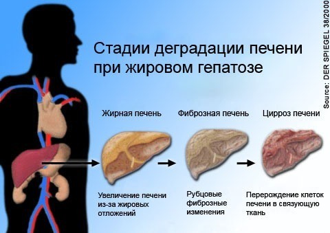 текст при наведении