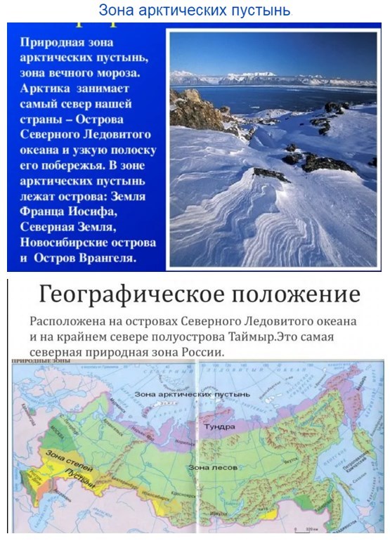 Географическое положение Арктики. Зона арктических пустынь географическое положение. Зона тундр располагается на севере россии
