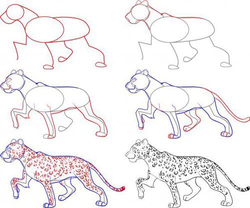 как нарисовать леопарда