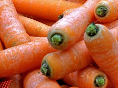 сажать морковь в 2015 году