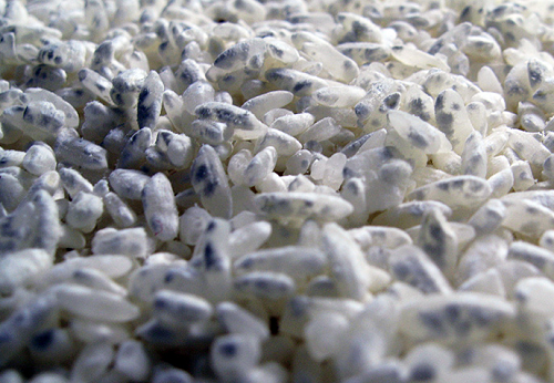 Как отличить настоящий рис от пластикового?