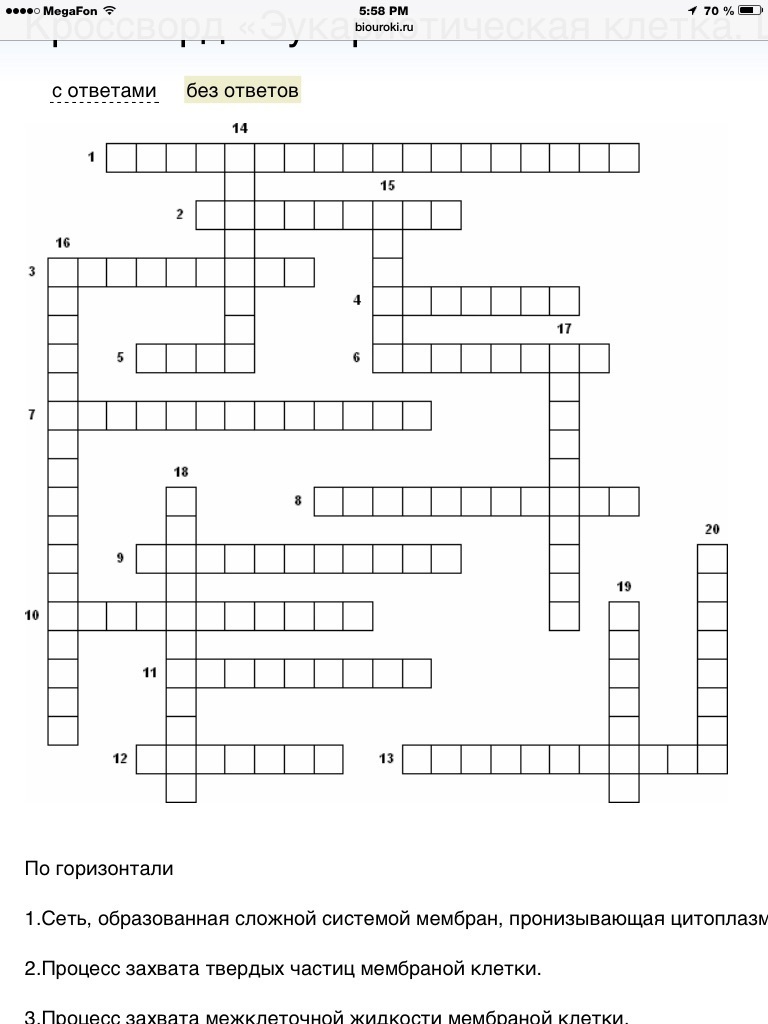 Жидкость кроссворд. Кроссворд на тему растительная клетка. Кроссворд по биологии на тему органоиды клетки. Кроссворд по растительной клетке. Кроссворд органоиды клетки.