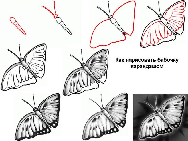 текст при наведении