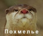 похмелье