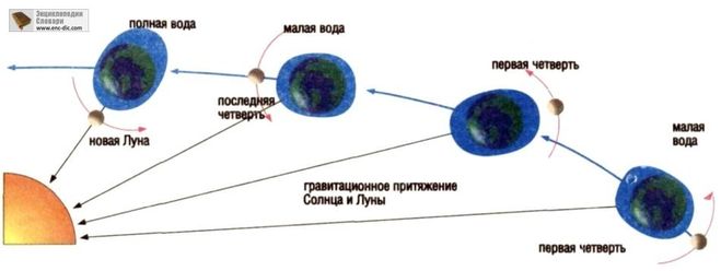 текст при наведении