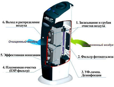 текст при наведении