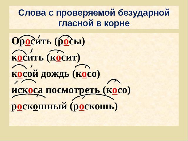 Преподаватель проверяемая гласная в корне