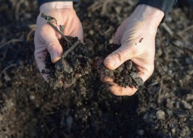 Как оздоровить почву в теплице (химические и нехимические методы)?