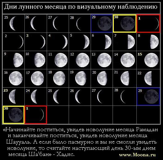 текст при наведении