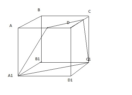 Постройте куб abcda1b1c1d1. Куб Геометрическая фигура abcda1b1c1d1. Осевое сечение Куба. Дан куб ABCDA'B'C'D'. Назовите ребра,параллельные ребру АА'. Осевое сечение Куба рисунок.