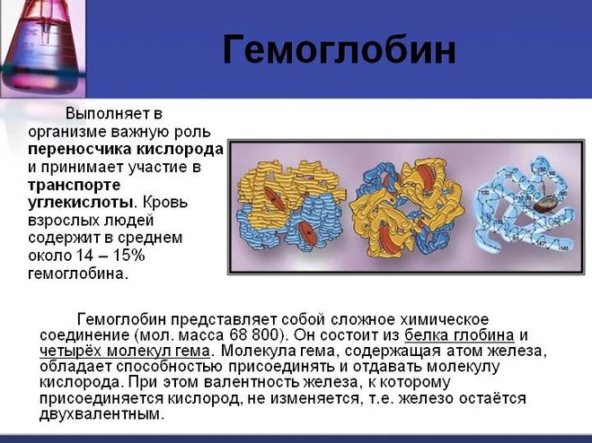 Как правильно пишется слово гемоглобин