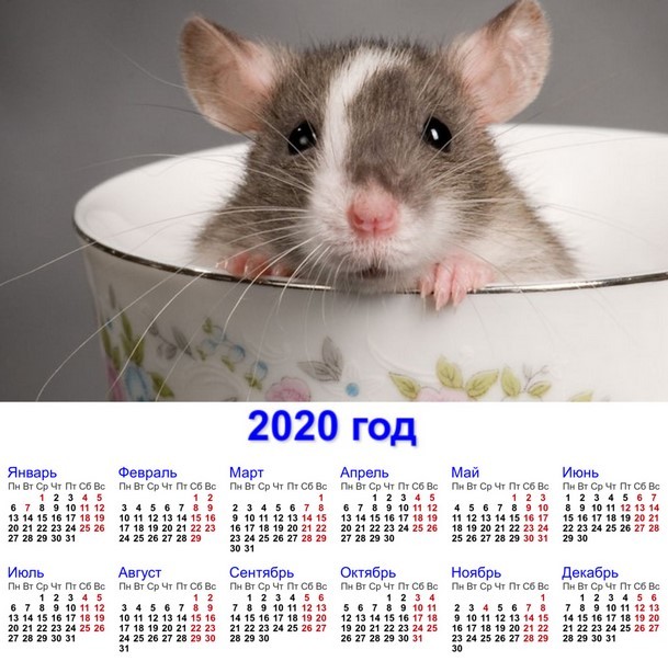 календарь на 2020 год с крысой