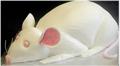 торт в виде "Белой Металлической Мыши", "Крысы" на Новый год 2020
