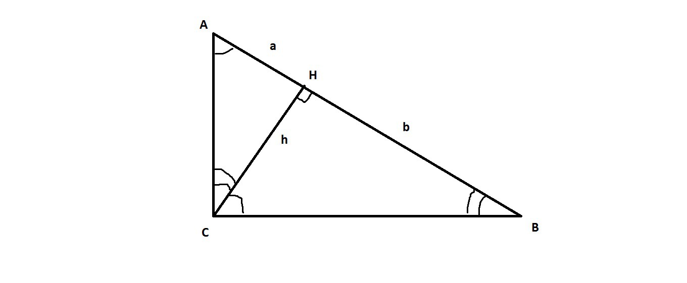 Отрезок сн высота. Высота из прямого угла прямоугольного треугольника. Прямоугольный треугольник и высота из прямого. Высота в прямоугольном треугольнике не из прямого угла. Ghzvjeujkmysq nhteujkmybr e rjnjhjuj dscjnf BP ghvjuj eukf.