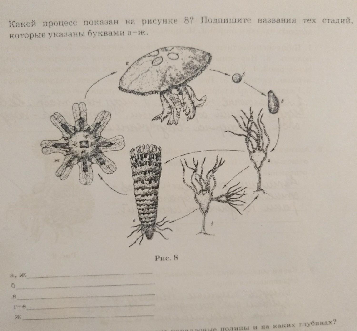 Элементы снежной пушки на рисунке подписанные