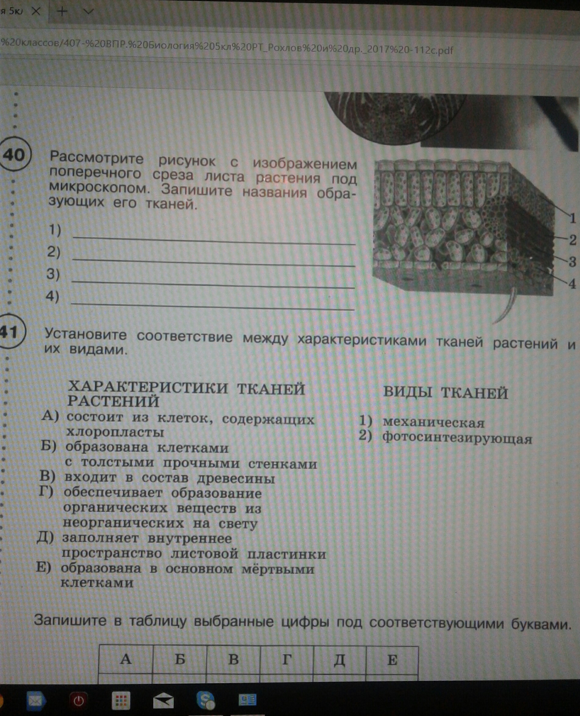 Рассмотри рисунок установи название органов указанных цифрами и отметь к какой системе они относятся