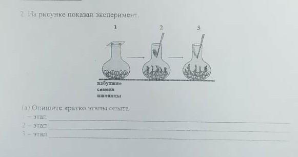 На рисунке показан опыт. Стадии химического эксперимента на рисунке изображены. ЕГЭ химия опишите эксперимент изображенный на рисунке. Опишите что изображено на рисунке. На рисунке изображены два этапа.