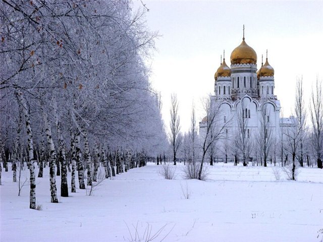 текст при наведении