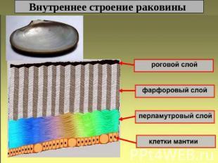 текст при наведении