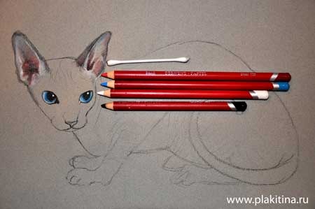 как нарисовать кошку, как нарисовать кота поэтапно http://www.bolshoyvo­<wbr/>pros.ru