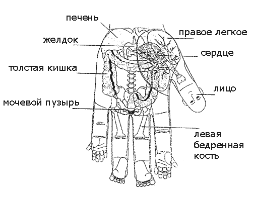 текст при наведении