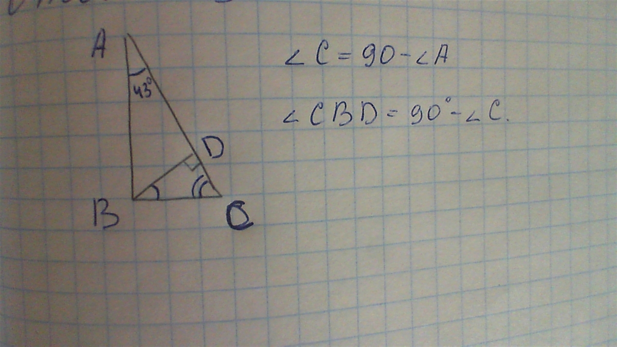 Найдите угол cbd. Из вершины прямого угла ABC проведена высота bd Найдите угол CBD.