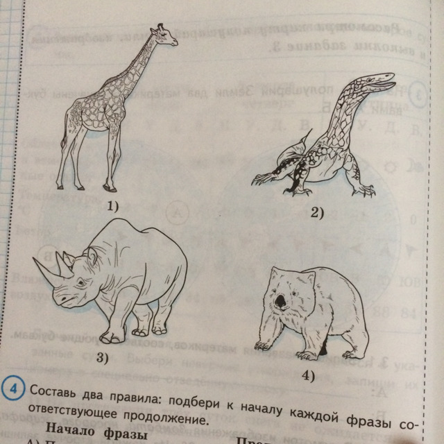 Рассмотрите два изображения. На рисунке представлены изображения жирафа слона бобра. Рассмотри изображения вомбата носорога жирафа гигантского варана. На рисунках представлены изображения жирафа слона. На рисунках представлены изображения панды тигра.