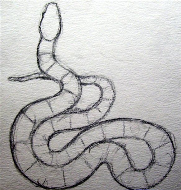 рисуем змею 2