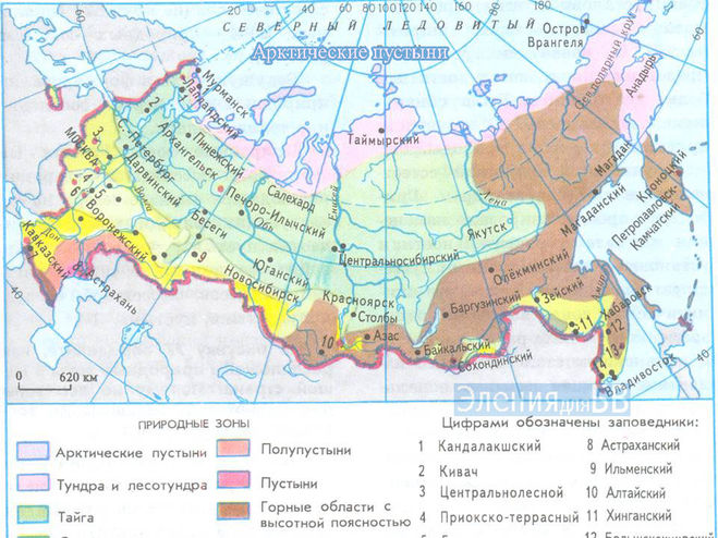 зона арктических пустынь 4 класс окружающий мир рабочая тетрадь