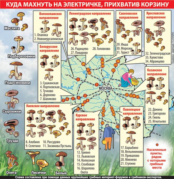 Грибные места Подмосковья 2017