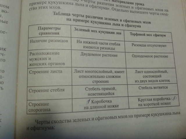 Сравнение мхов. Сравнительная таблица сфагнума и Кукушкина льна. Кукушкин лен и сфагнум сравнение таблица. Сравнительная характеристика мхов. Сравнительная характеристика Кукушкина льна и сфагнума.