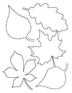 Шаблон осенних листьев из фетра