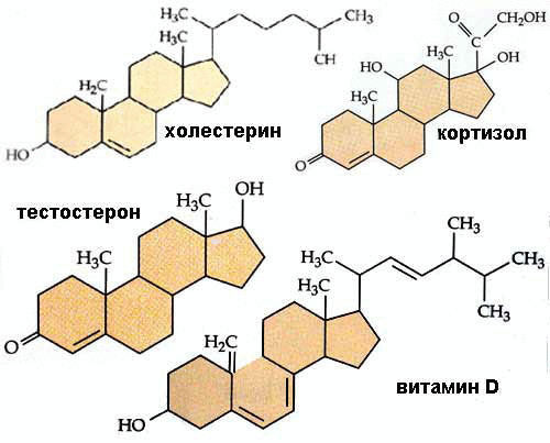 холестерин соедниения