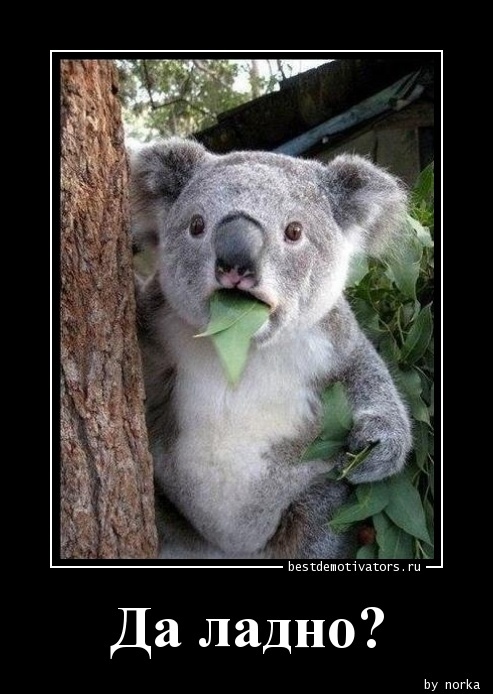 да ладно, междометие да ладно, смешной коала