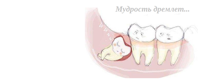 Зачем зубы мудрости. Зуб мудрости суету навести. Зло дремлет зуб мудрости.