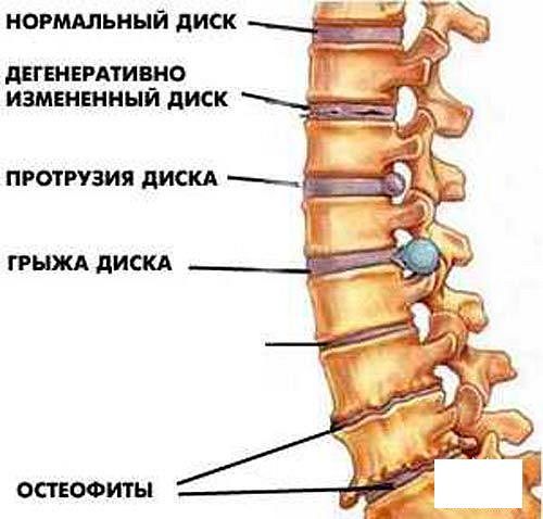 текст при наведении