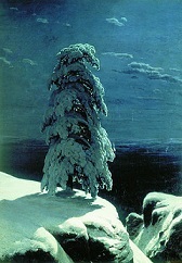 Шишкин "На севере диком" история создания картины