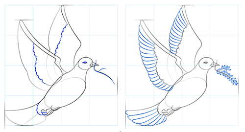 Голубь с оливковой ветвью рисунок поэтапно