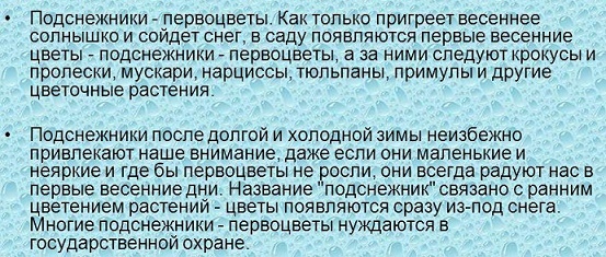 Сочинение на тему Подснежник