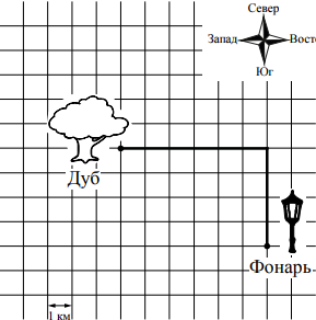 Ученый кот обошел вокруг дуба и вернулся в исходную точку на рисунке показан