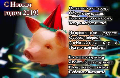 С Новым годом 2019 Свиньи картинки