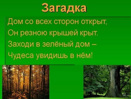 Рассказ про лес окружающий мир 2 класс