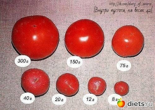 сколько весит  помидор